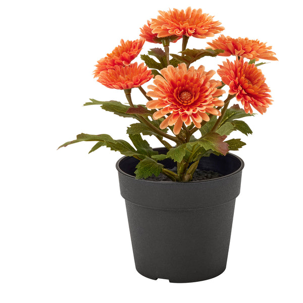 FEJKA artificial potted plant, 9 cm