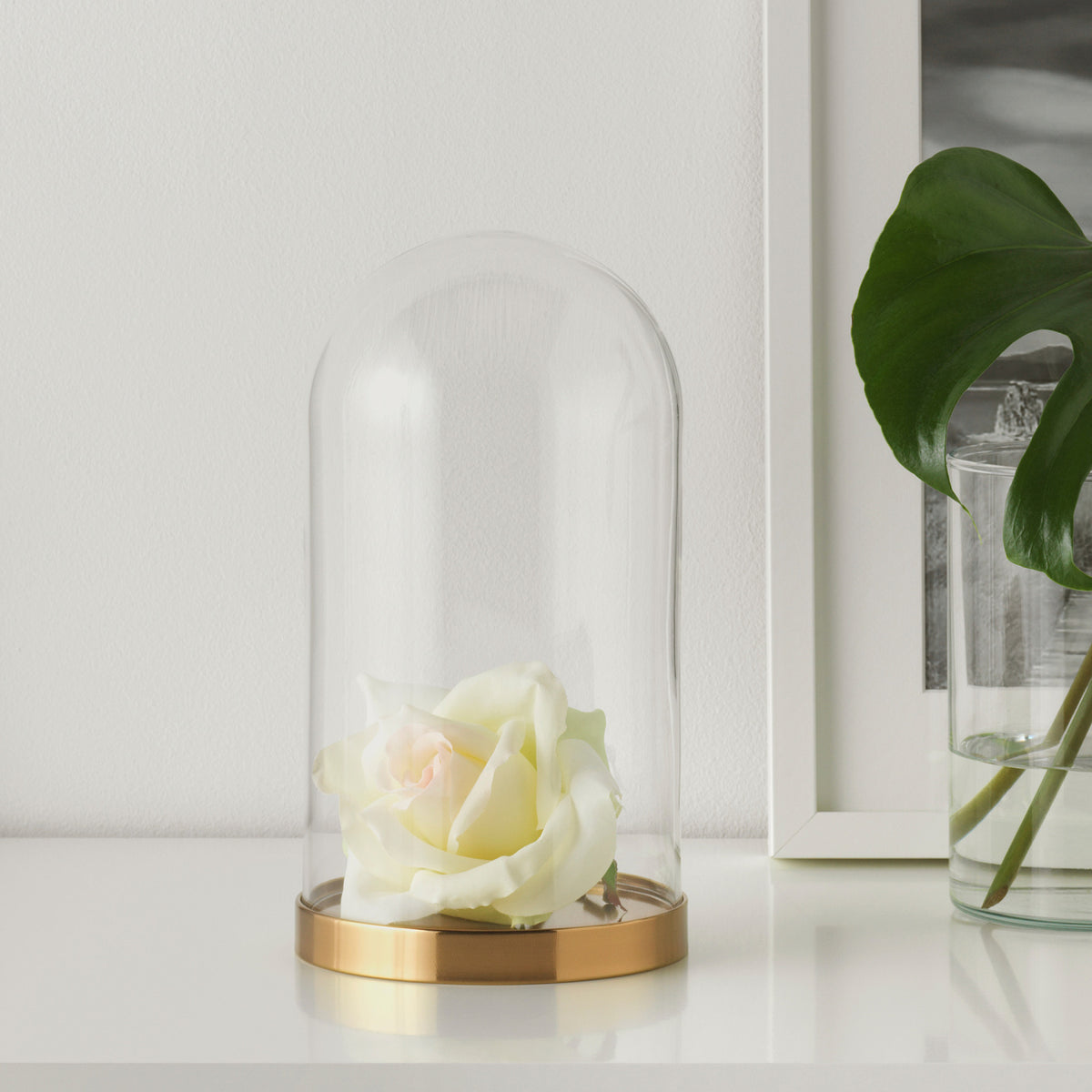 BEGÅVNING glass dome with base, 26 cm