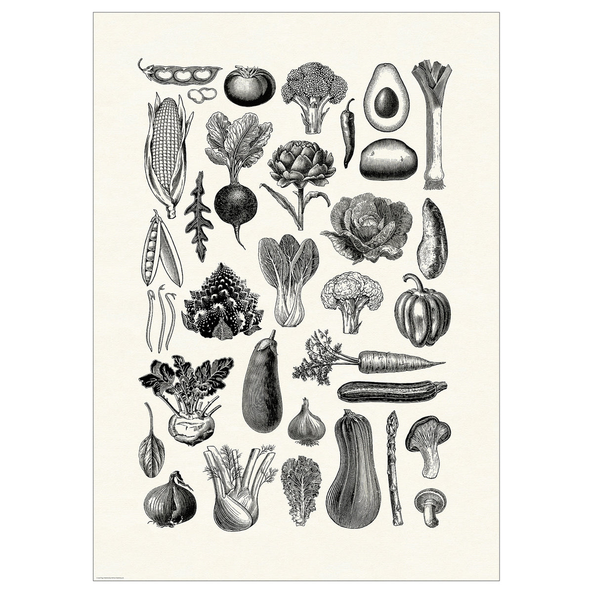 BILD poster, 50x70 cm