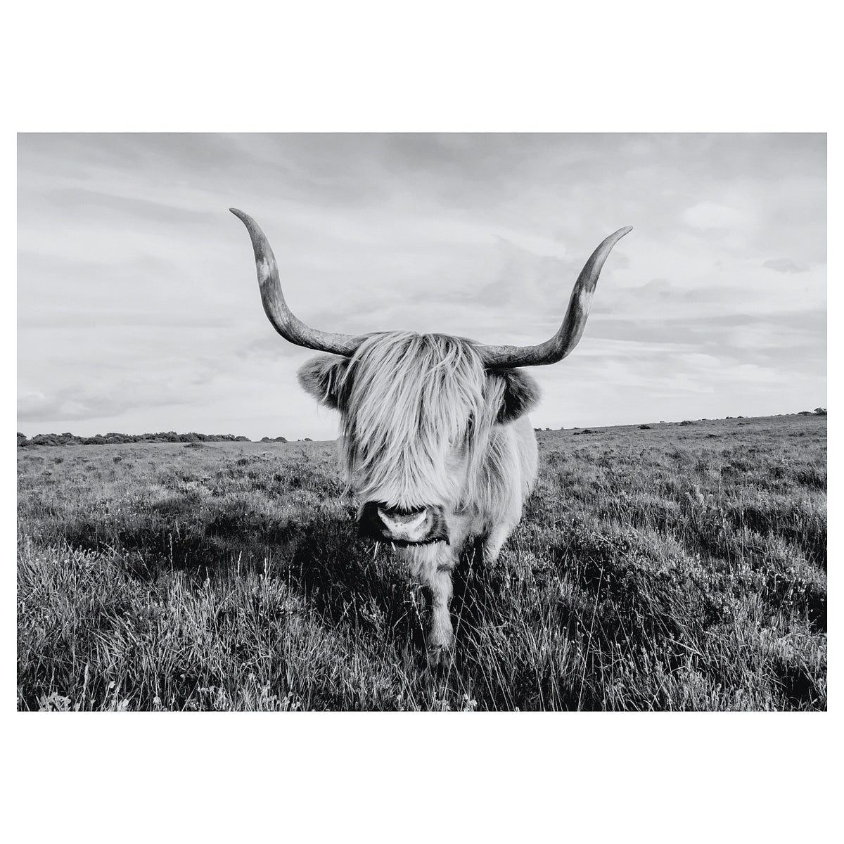 BJÖRKSTA picture, 140x100 cm