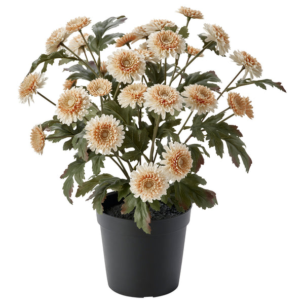FEJKA artificial potted plant, 15 cm