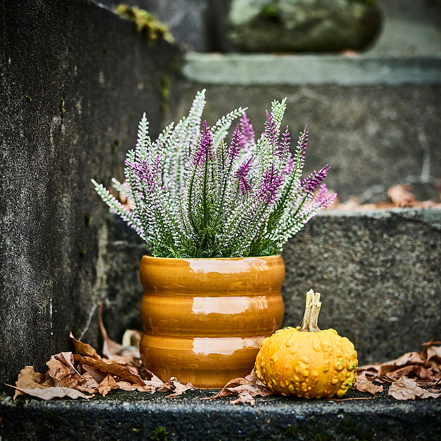 FEJKA artificial potted plant, 12 cm