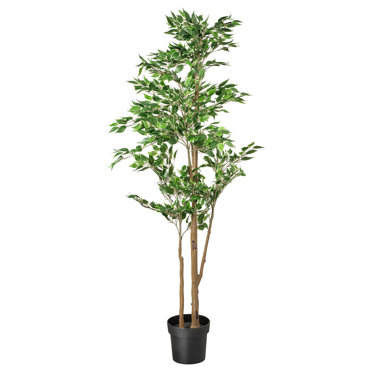 FEJKA artificial potted plant, 21 cm