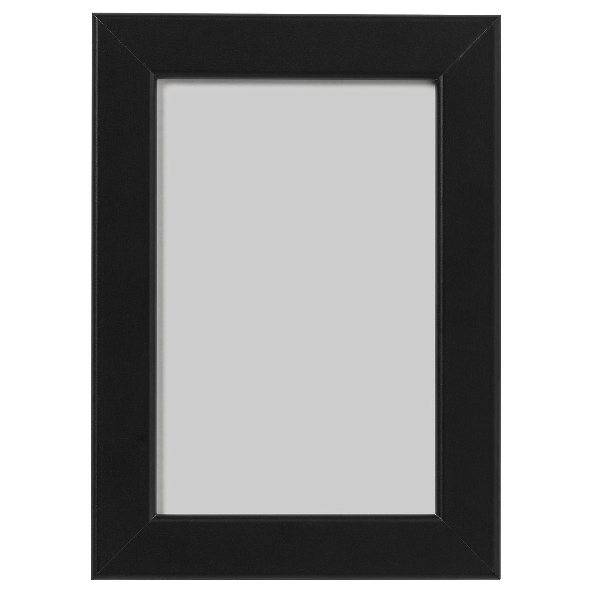FISKBO frame