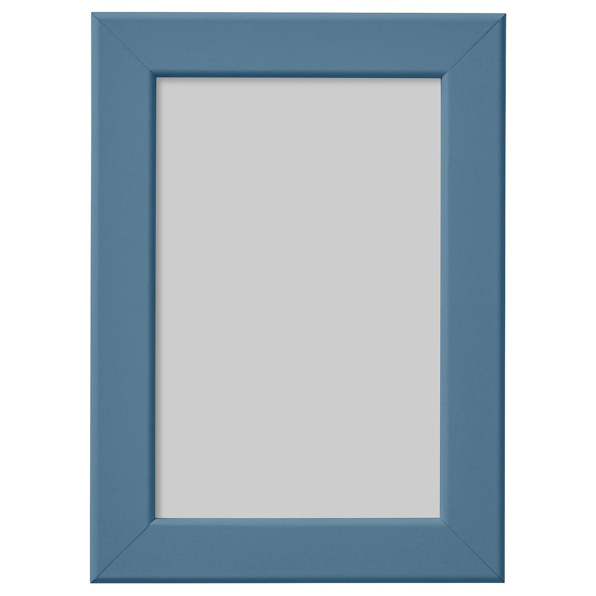 FISKBO frame