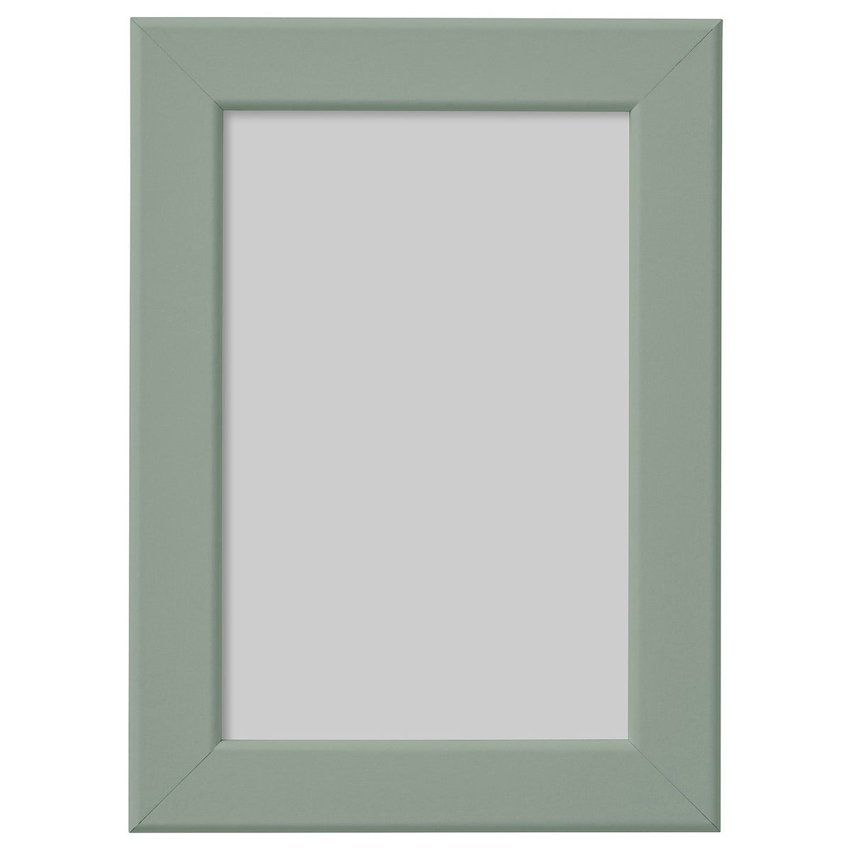 FISKBO frame