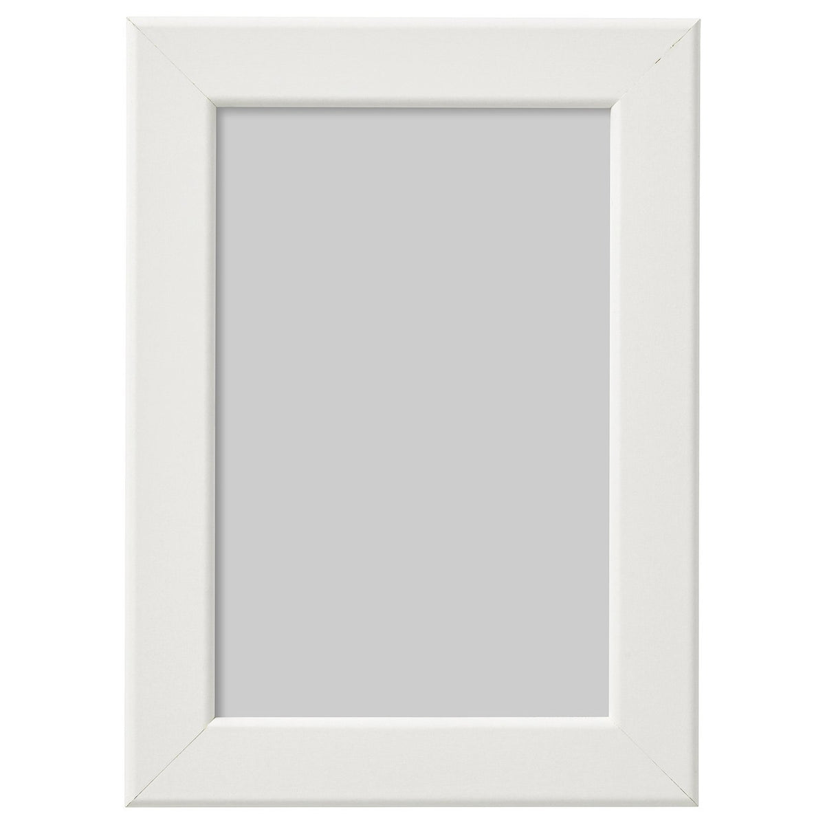 FISKBO frame