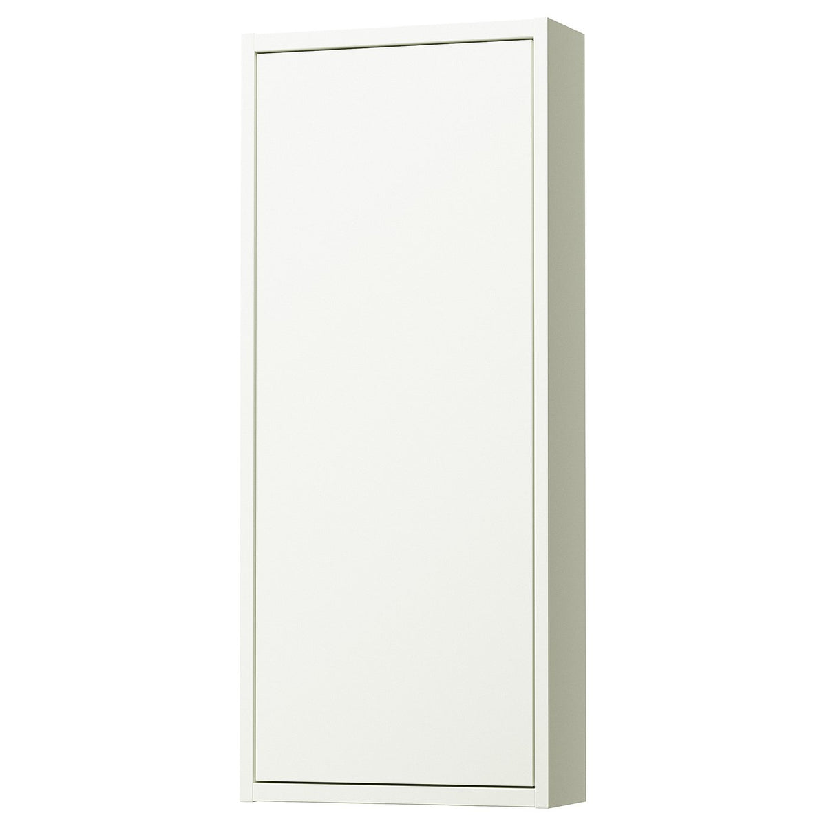 HAVBÄCK Wall cabinet with door