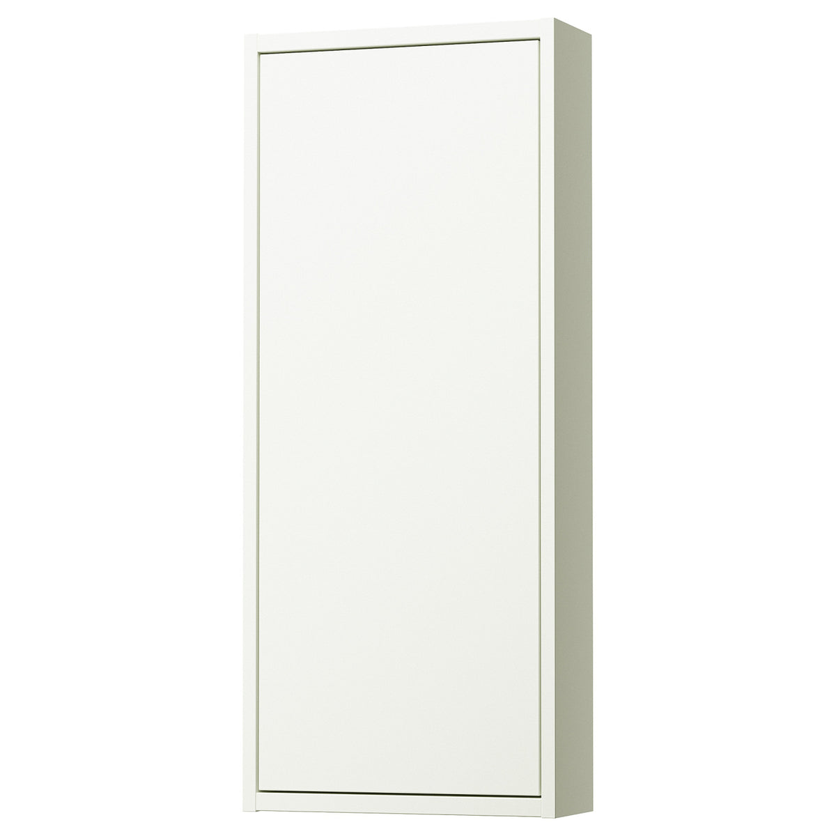 HAVBÄCK Wall cabinet with door
