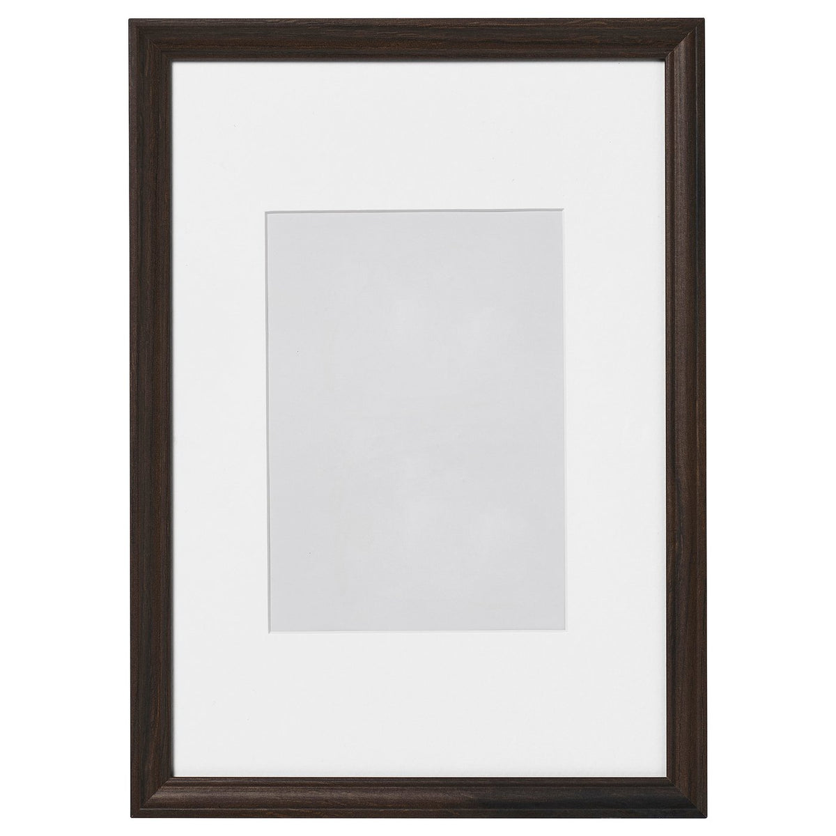 KLOTKÖRSBÄR frame