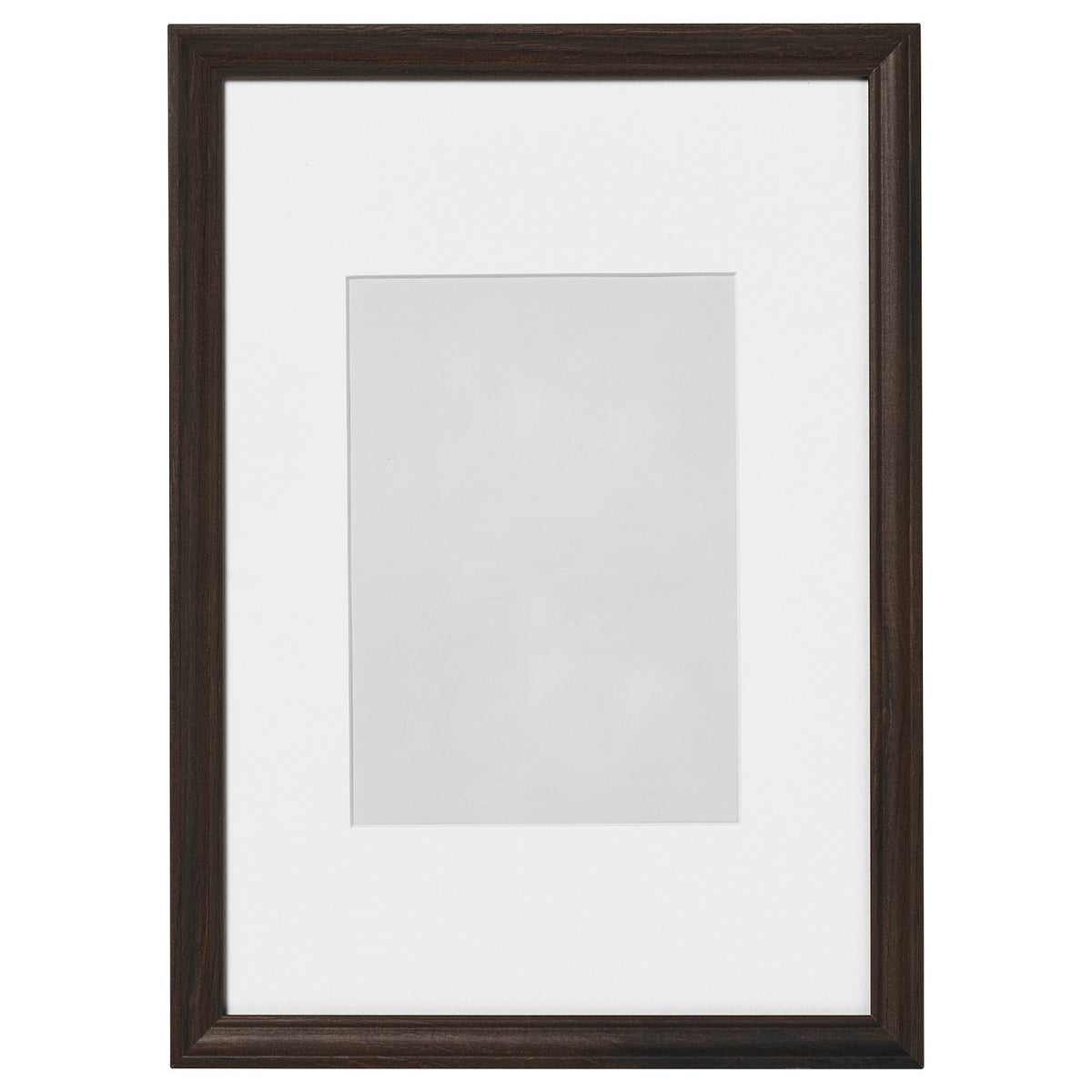 KLOTKÖRSBÄR frame