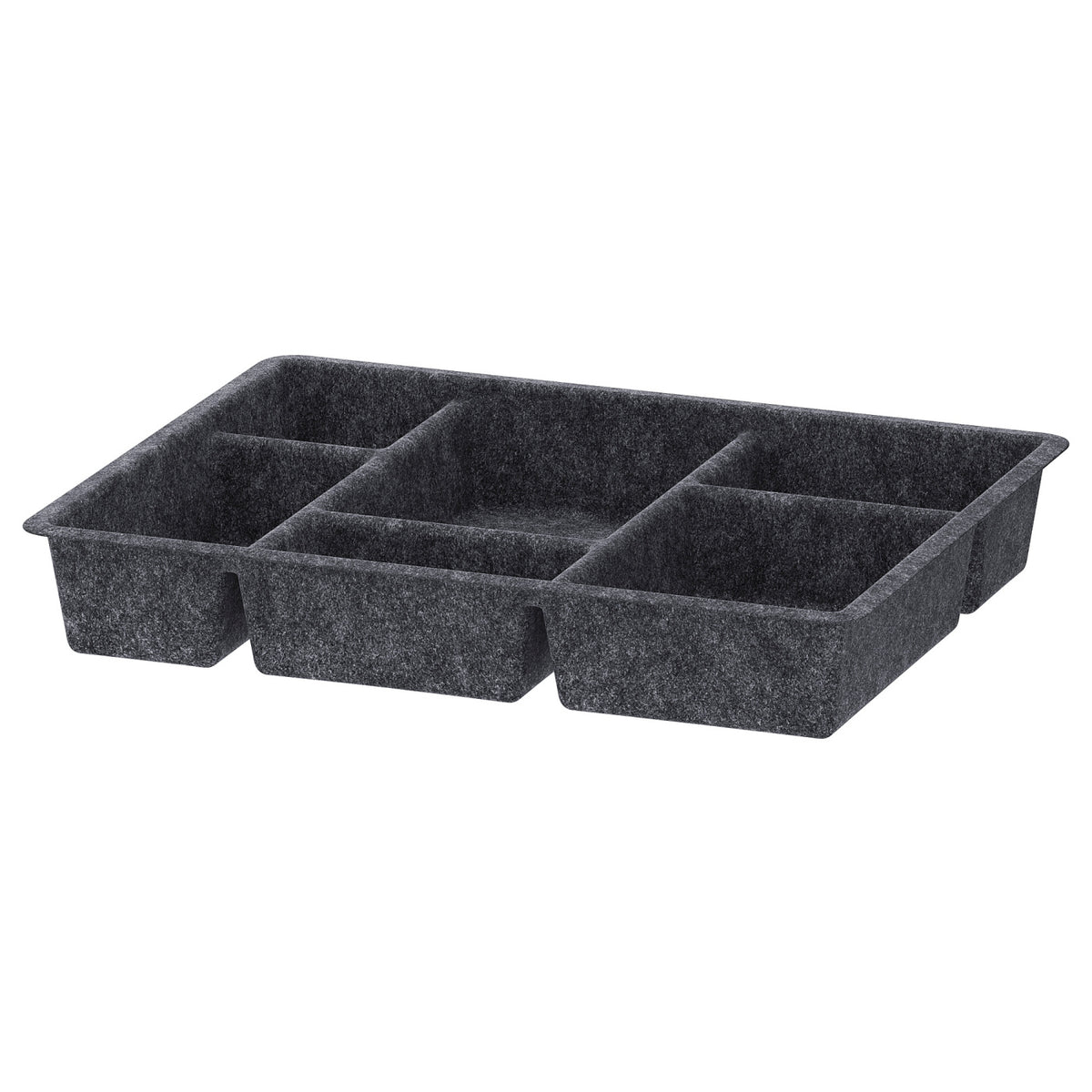 RAGGISAR tray