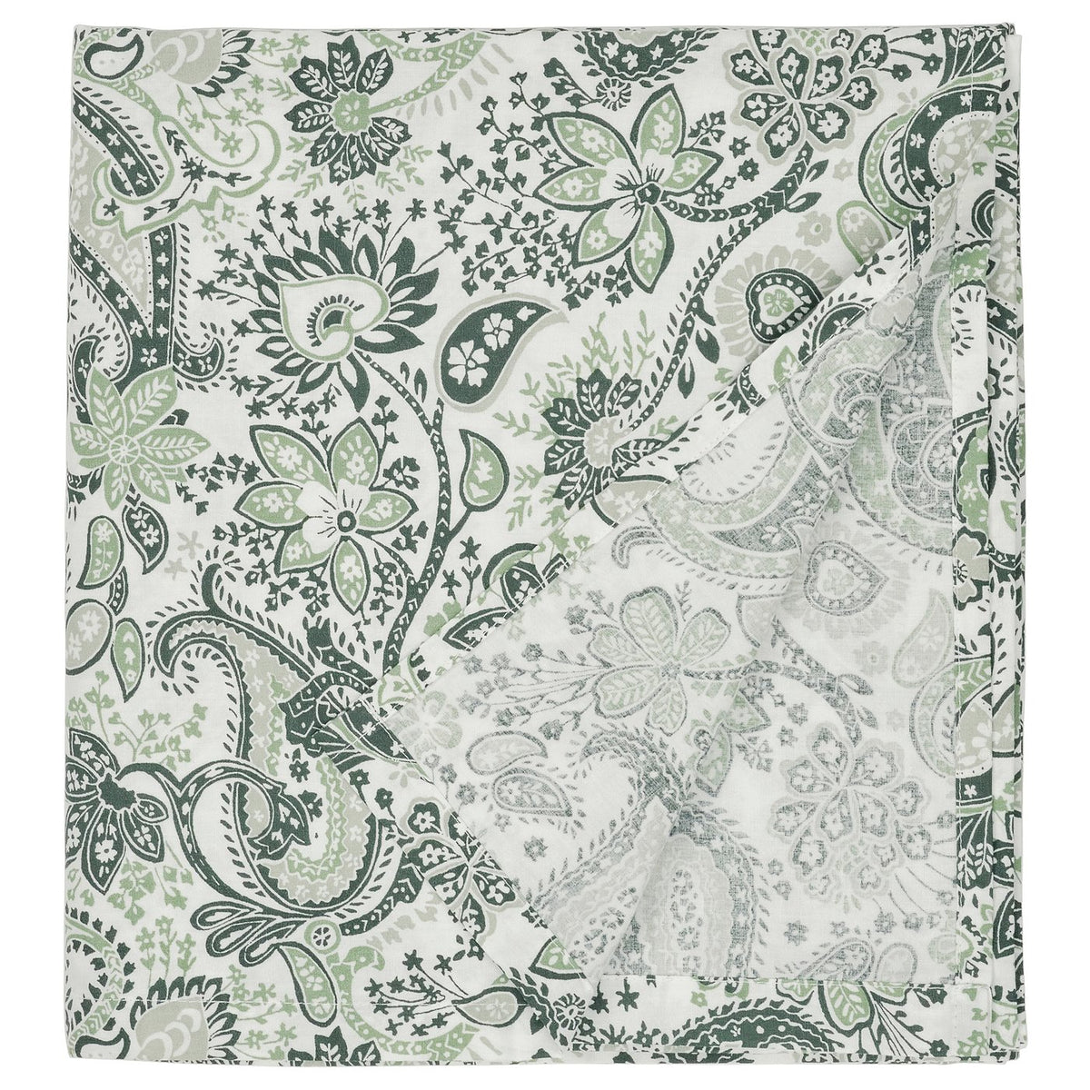 RODGERSIA flat sheet