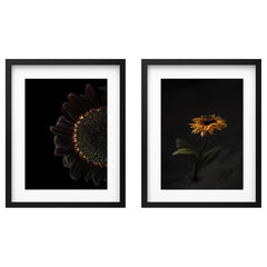 Canvas art & ready to hang art