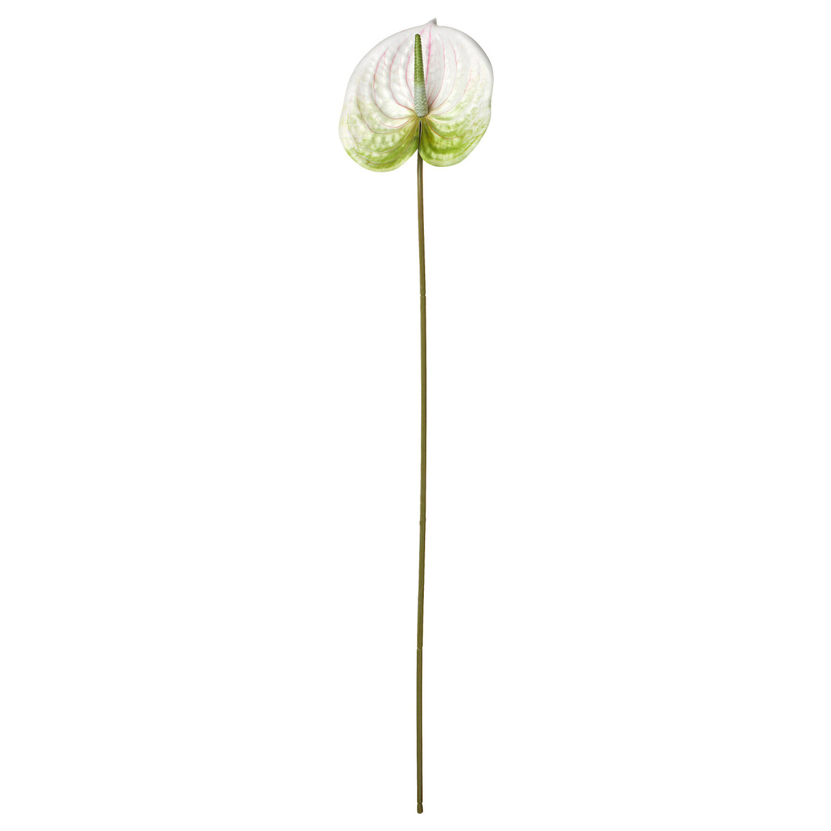 SMYCKA artificial flower, 66 cm