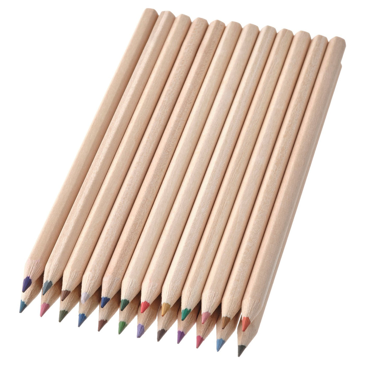 SOLFÅGEL Coloured pencil