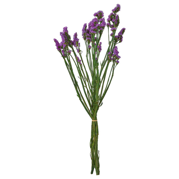 TORKA dried parts of flowers/plants