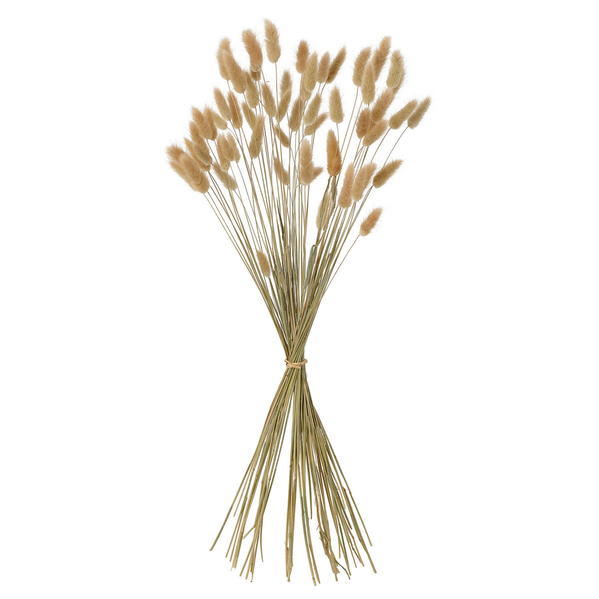 TORKA dried plants, 60 cm