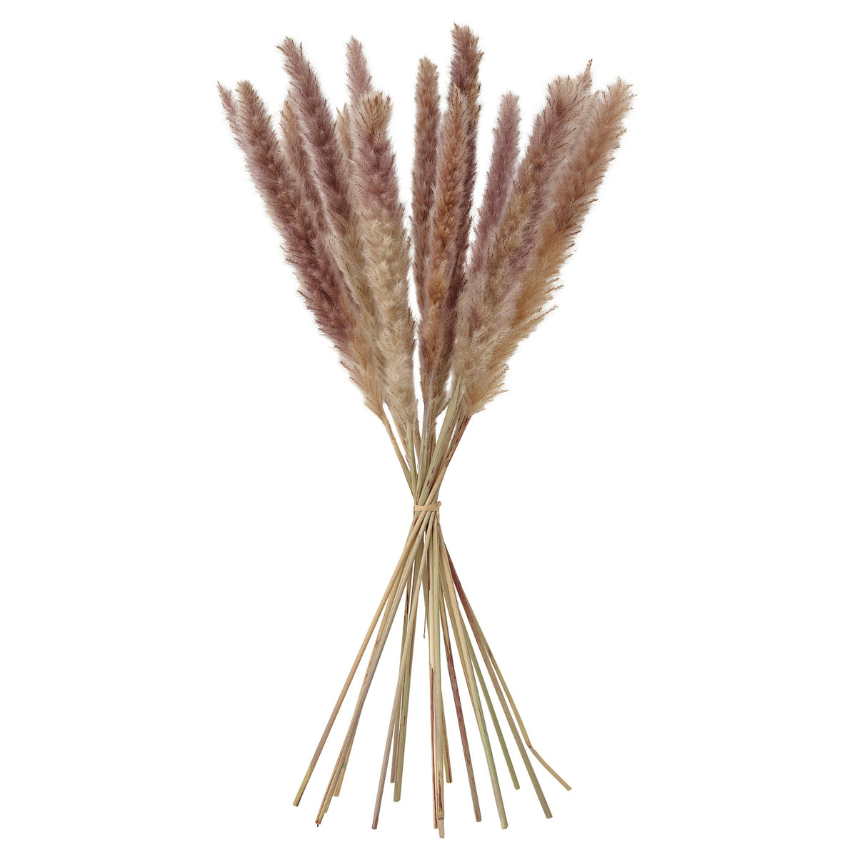 TORKA dried plants, 70 cm