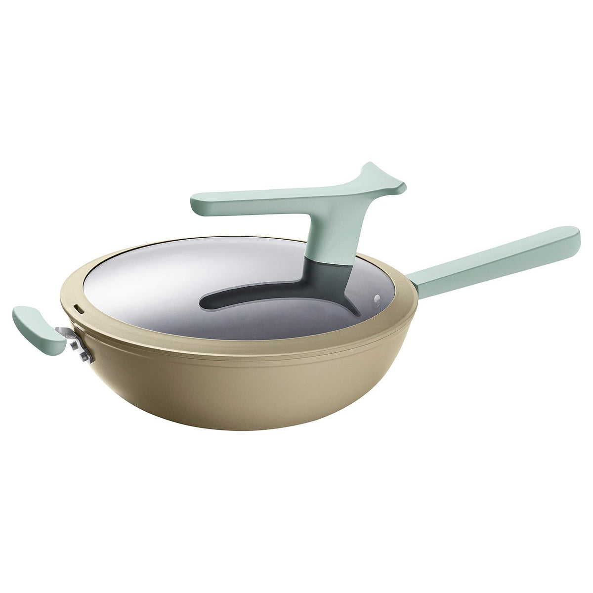 TRYCKARFISK wok with lid
