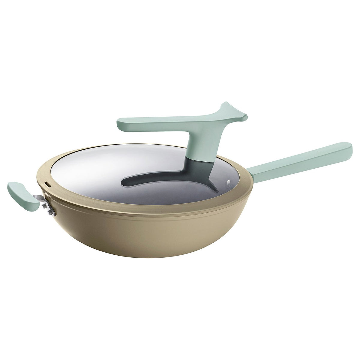 TRYCKARFISK wok with lid