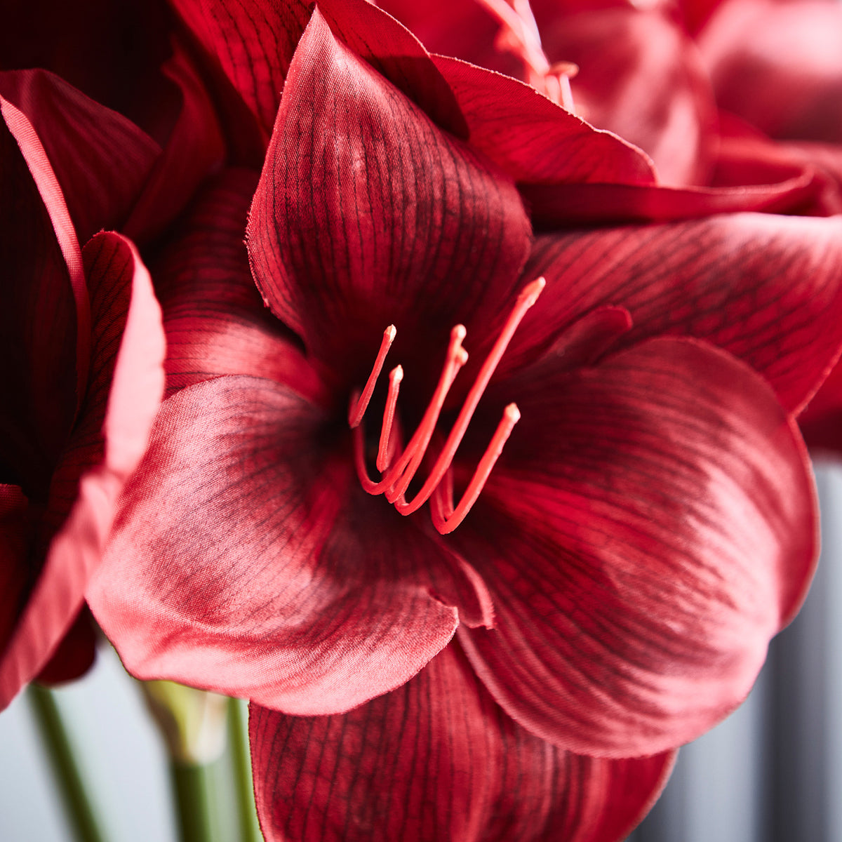 VINTERFINT artificial flower, 60 cm
