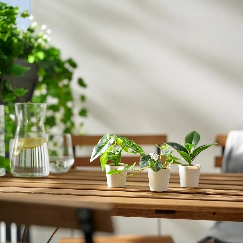 Small white potted FEJKA plants on a rustic wooden table beside clear glass vases.