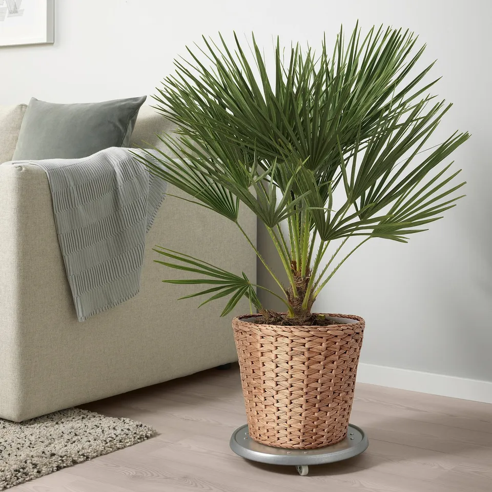part: FRIDFULL plant pot