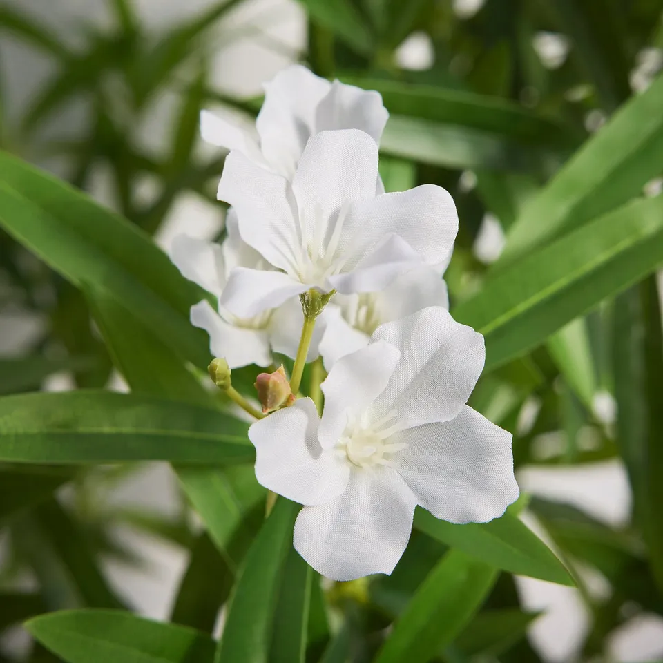 FEJKA Artificial potted plant, in/outdoor/Nerium white, 19 cm