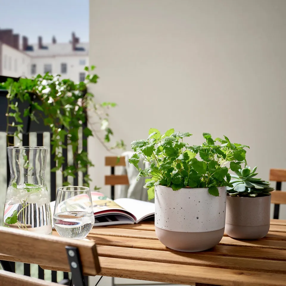 part: BUSKKAPRIFOL plant pot