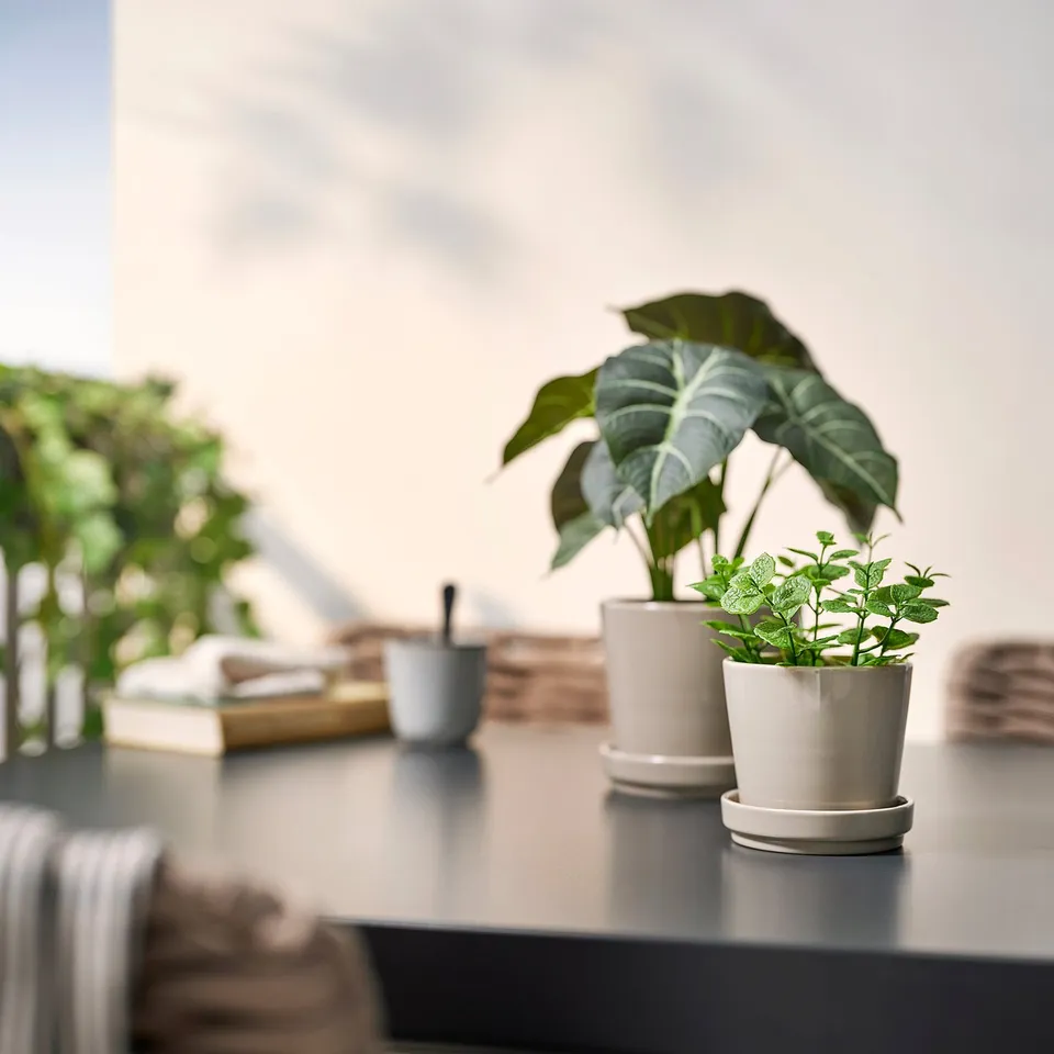 Small potted plants decorate a desk, blending greenery with minimalist design.