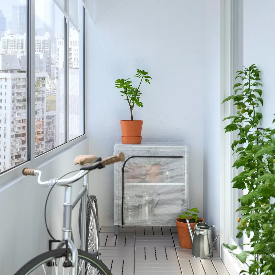 Small, clear, plastic greenhouse on shelf near window hosting plants, bike, and watering can in urban apartment.