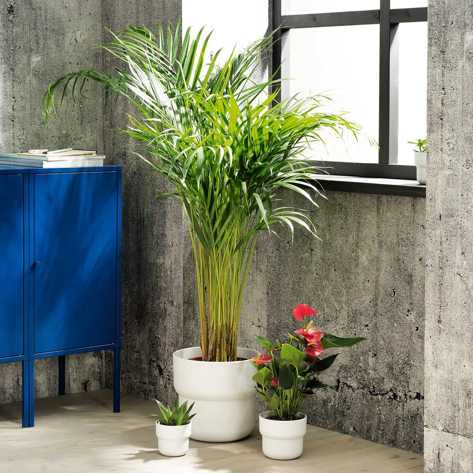 part: FÖRENLIG plant pot