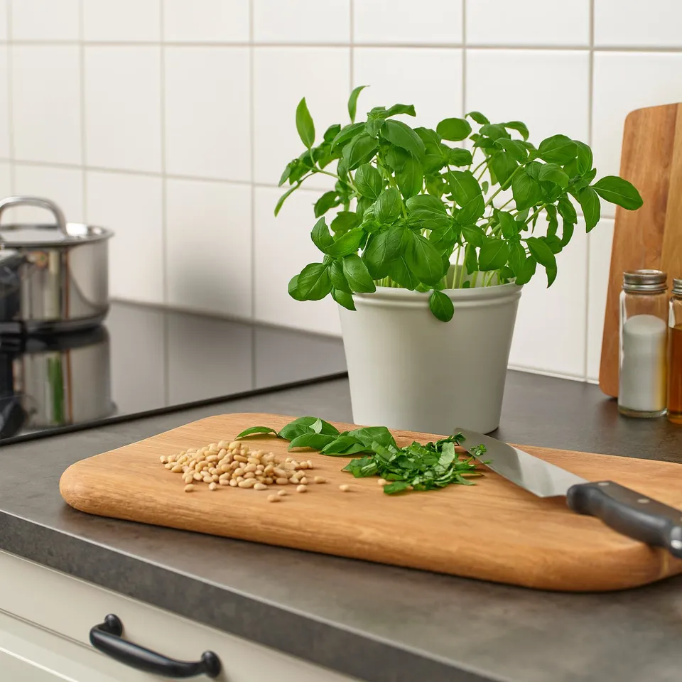 part: KÖRSBÄRSBJÖRK plant pot