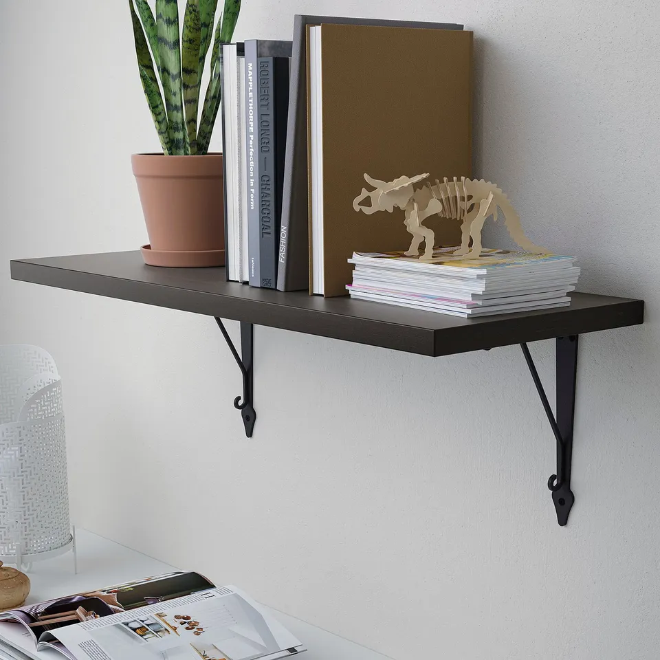 Black wall shelf with books, plant, and dinosaur.