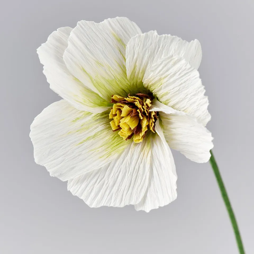 GULDSPETT Artificial flower, paper/cosmos assorted colours, 35 cm