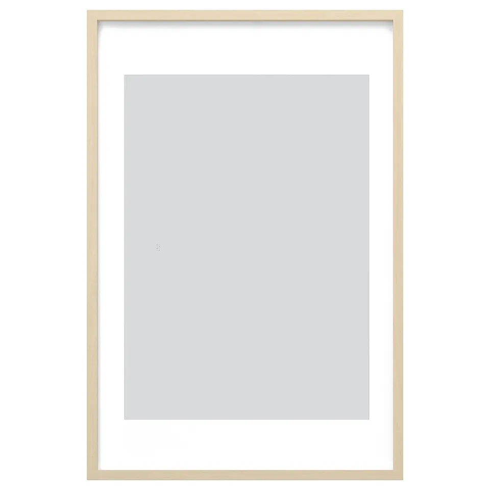 RÖDALM picture frame, light wood, rectangular design with glass front.