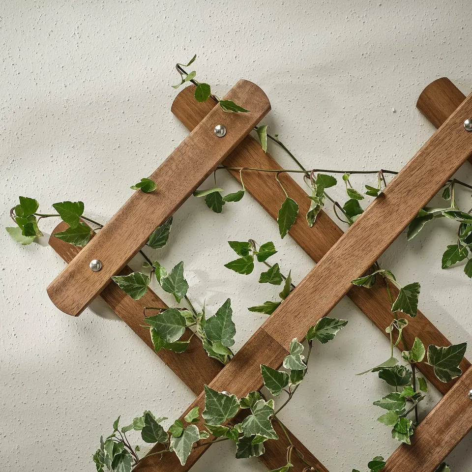 Wooden trellis with green vines mounted on wall, supporting plant growth.