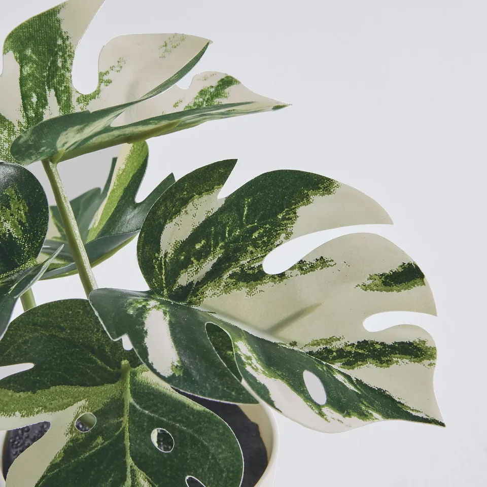 Faux plant, green & white leaves