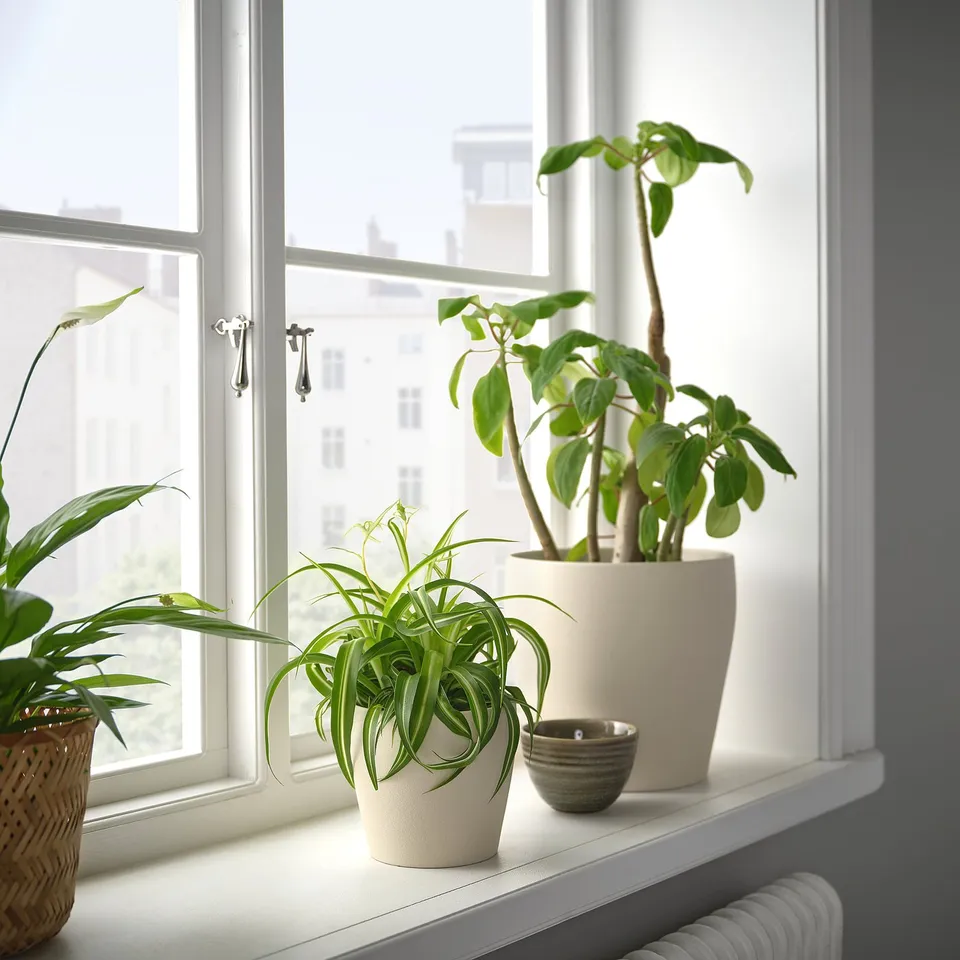 part: PERSILLADE plant pot