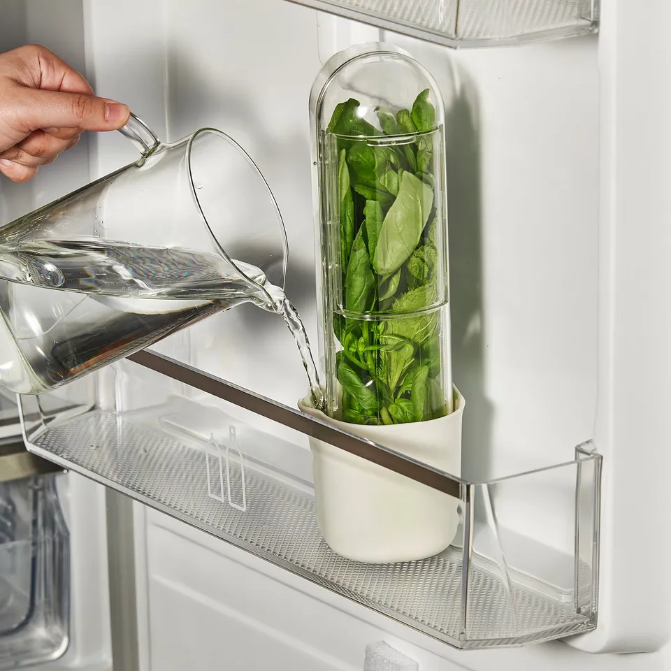 A person pours water into a clear, tall herb keeper filled with green leaves in a fridge.