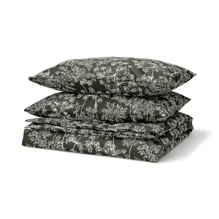 DAGGBJÖRNBÄR