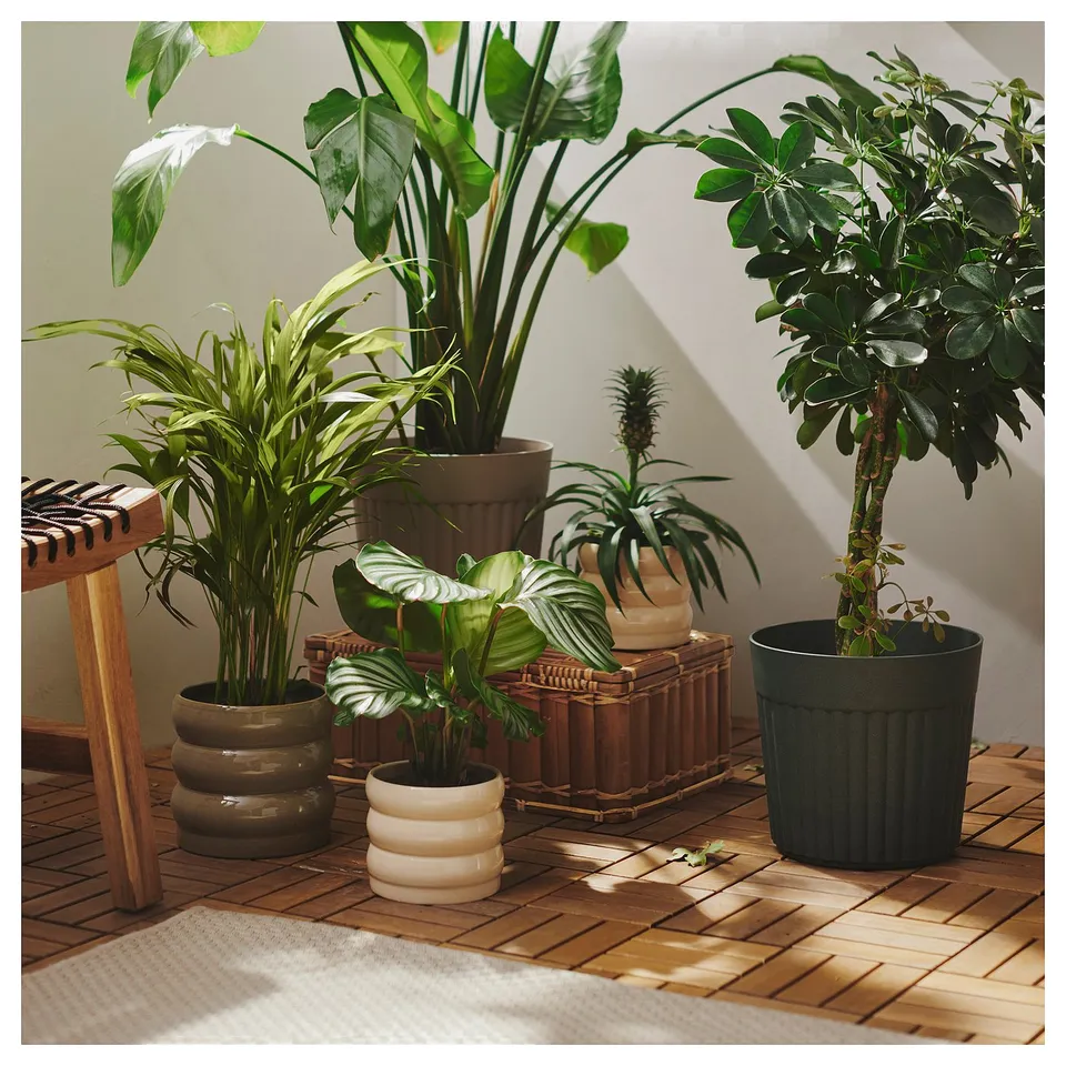 FRÄKENVÄXT Plant pot, in/outdoor/deep green, 24 cm