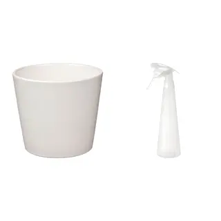 SOJABÖNA/TOMAT