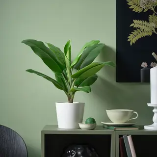 FEJKA/SOJABÖNA set: artificial potted plant + plant pot, in/outdoor Banana tree + white, 12 cm