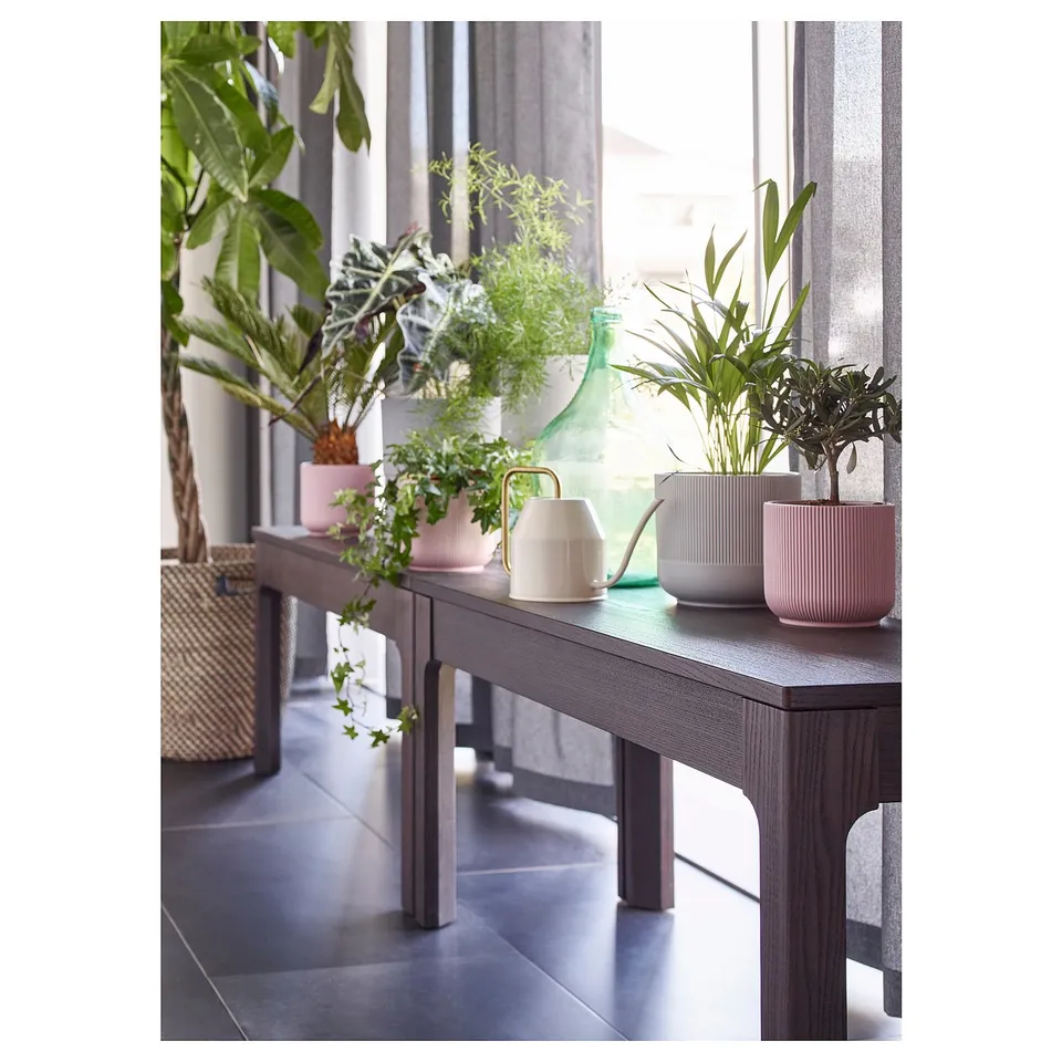 Modern indoor console table with stylish potted plants, natural light, and elegant minimalist design.