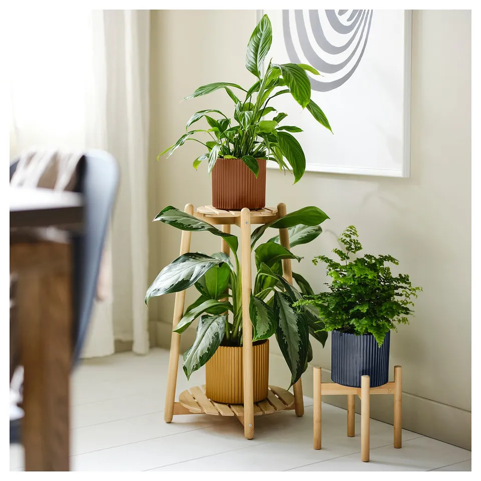 Bamboo plant stand elevates 3 indoor plants, saving space, enhancing visibility.