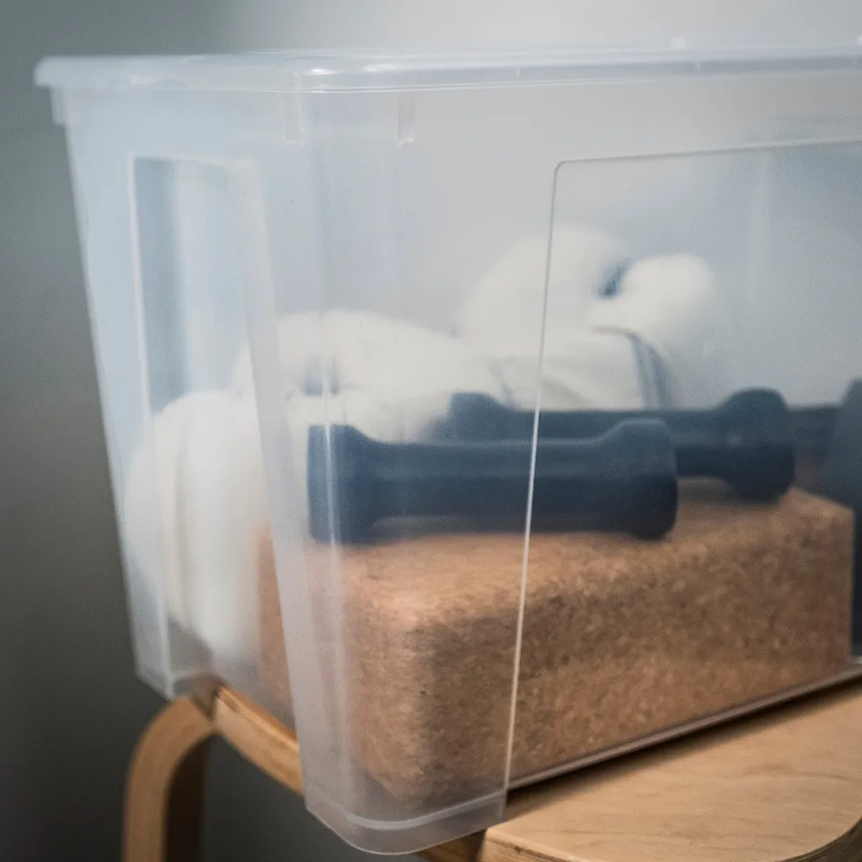 Clear plastic storage box, lid secured, containing black items on wooden surface.