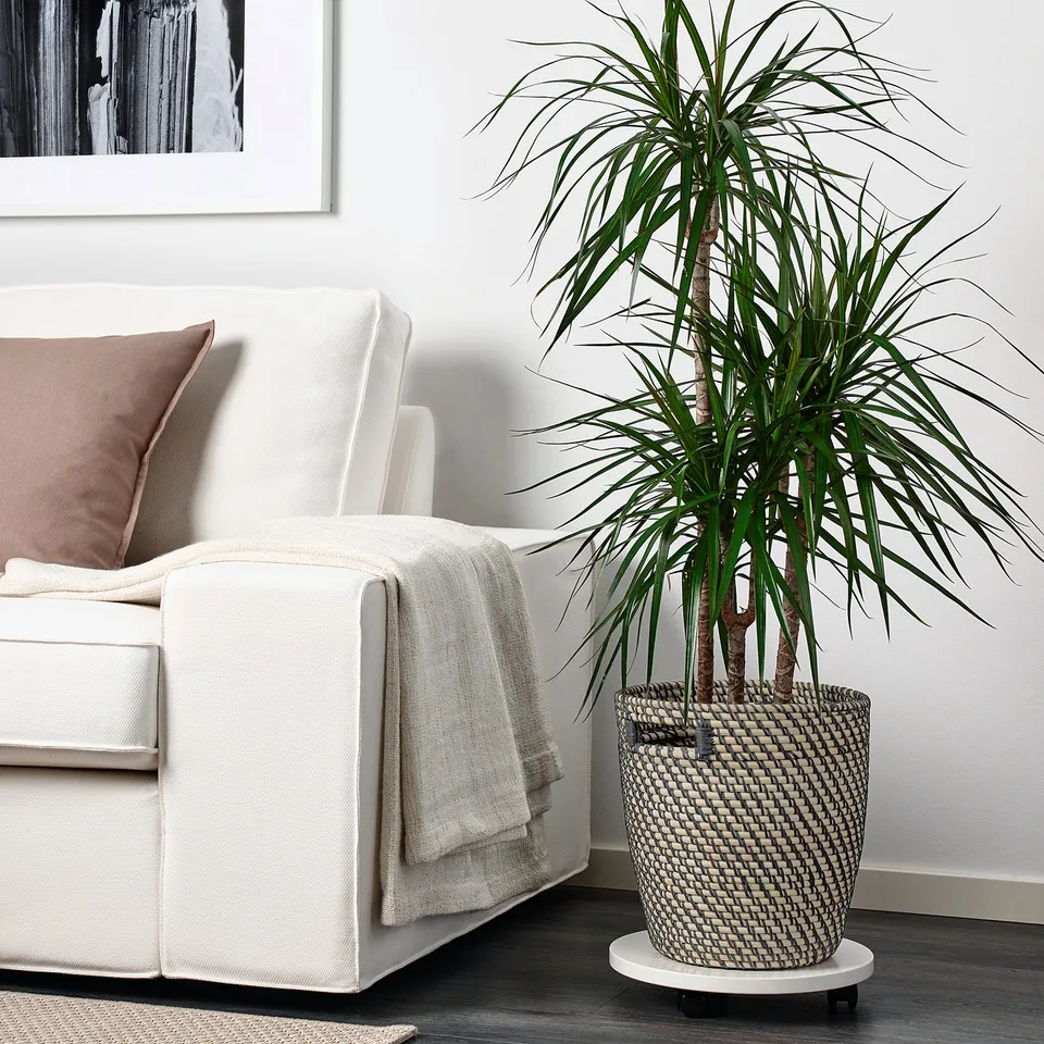 part: RÅGKORN plant pot