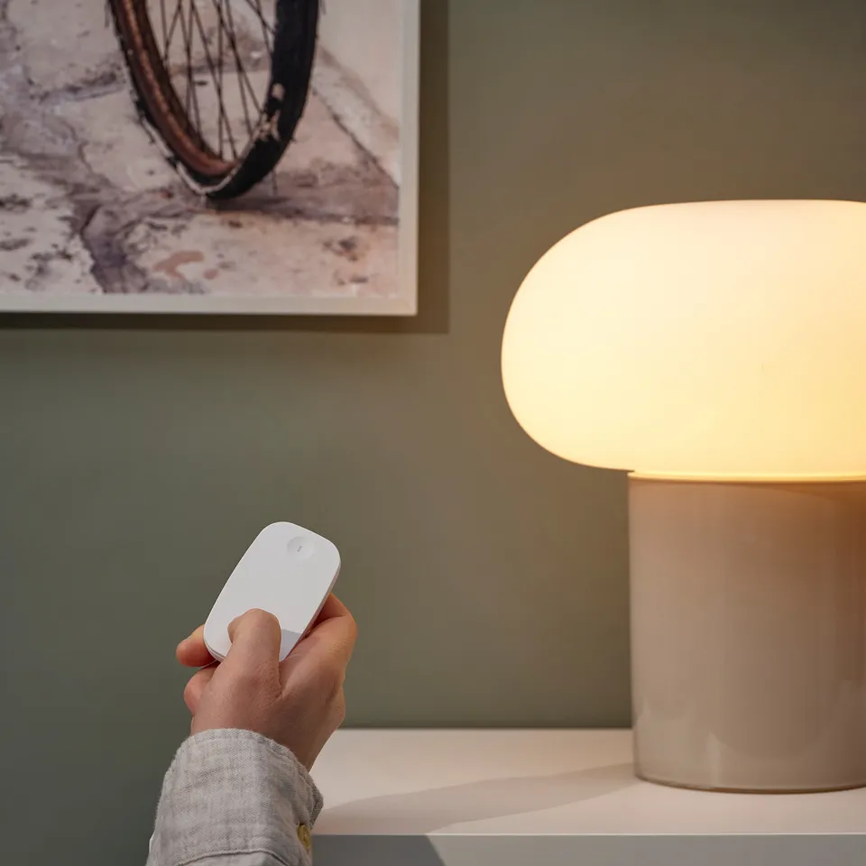 part: RODRET wireless dimmer/power switch